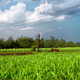 Farming, not always as green as you think. Image: Brian Evans / Flickr